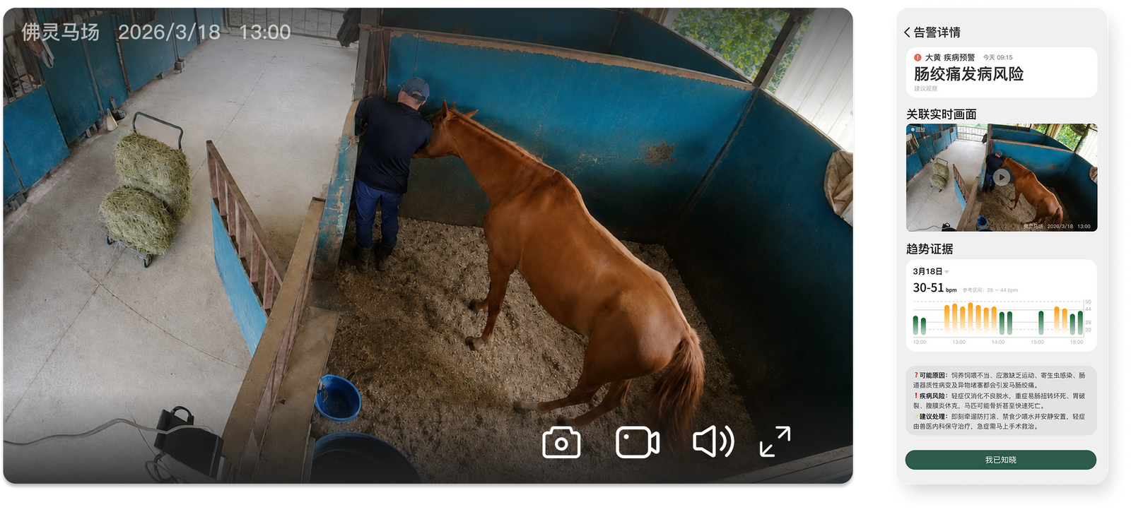 Live stable monitoring view
