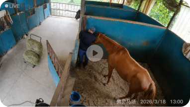 Live stable monitoring view
